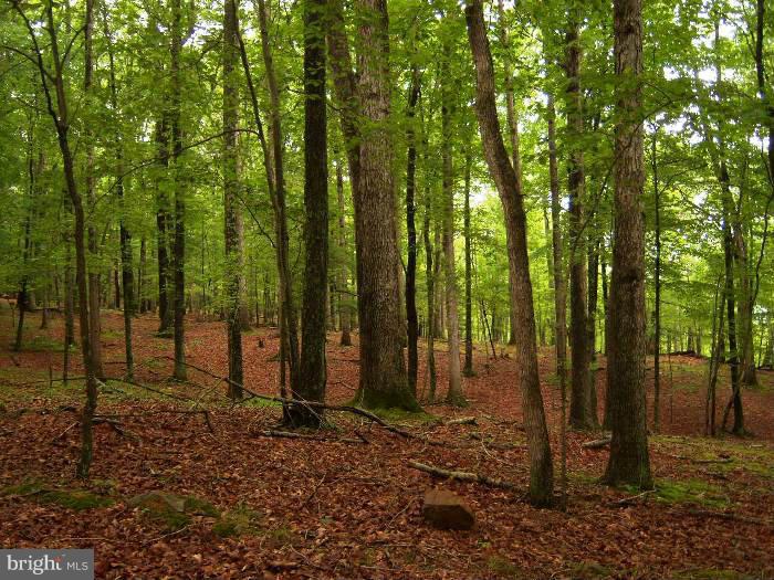 NONE AVAILABLE - Land