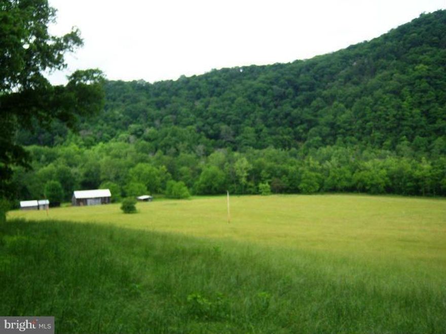 HERE YOU GO! 259 prime acres along the Cacapon River, 5 fields of varying sizes 60 acres total, Mature hardwood forest, 1/2 mile of river front, large barn, road system within land, beautiful views, Easily accessed from Berkeley Springs WV, would make a fantastic camp ground, hunting club, development property, ultimate get-a-way. Call Today!