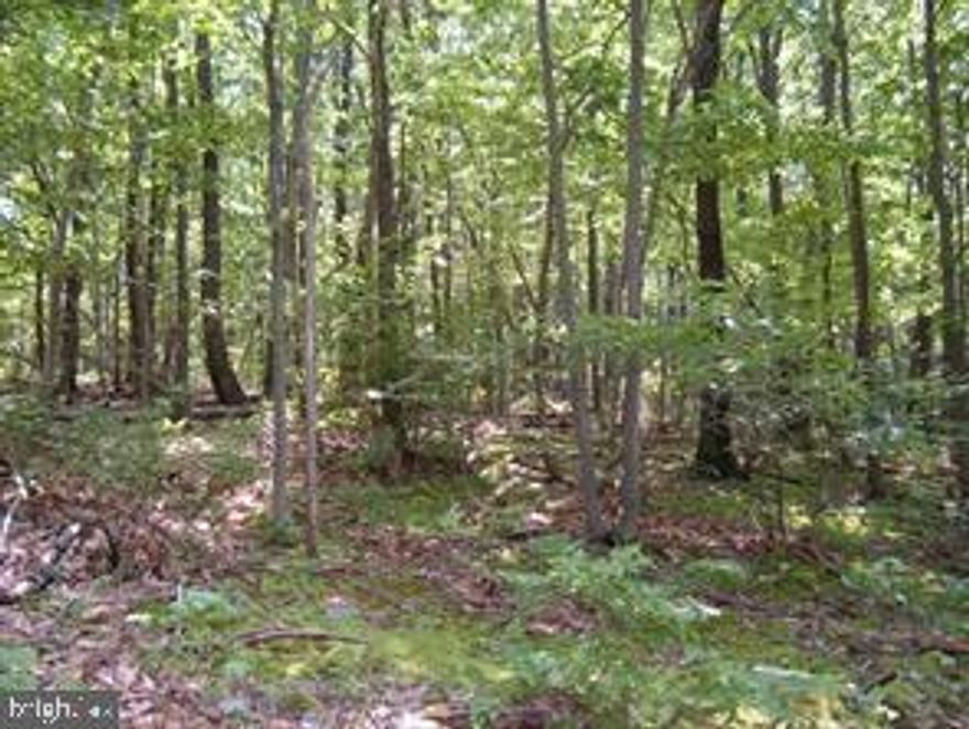 CALL TODAY TO SEE THIS 4 ACRE PARCEL LOCATED IN COOPERS COVE NEAR THE BURGUNDY CENTER FOR WILDLIFE STUDIES. YOU CAN LIVE OFF THE GRID WITH YOUR SECLUDED CAMP OR MAKE THIS THE WEEKEND GET-AWAY SPOT.  THIS LOT IS IN THE HEART OF THE MOUNTAINS OF CAPON BRIDGE, WEST VIRGINIA AND A CONVENIENT 40 MINUTE COMMUTE TO WINCHESTER WHERE THERE ARE VAST EMPLOYMENT OPPORTUNITIES AND LOTS OF SHOPPING AND DINING.