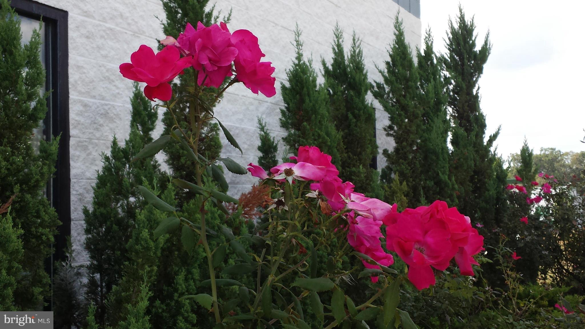 HORNBAKER INDUSTRIAL PARK - Commercial Lease