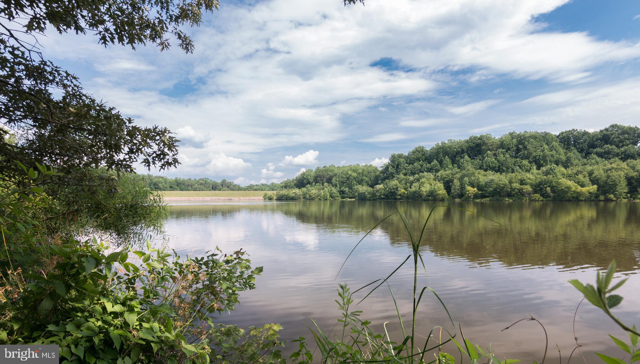 TRIPLE RIDGE - Residential