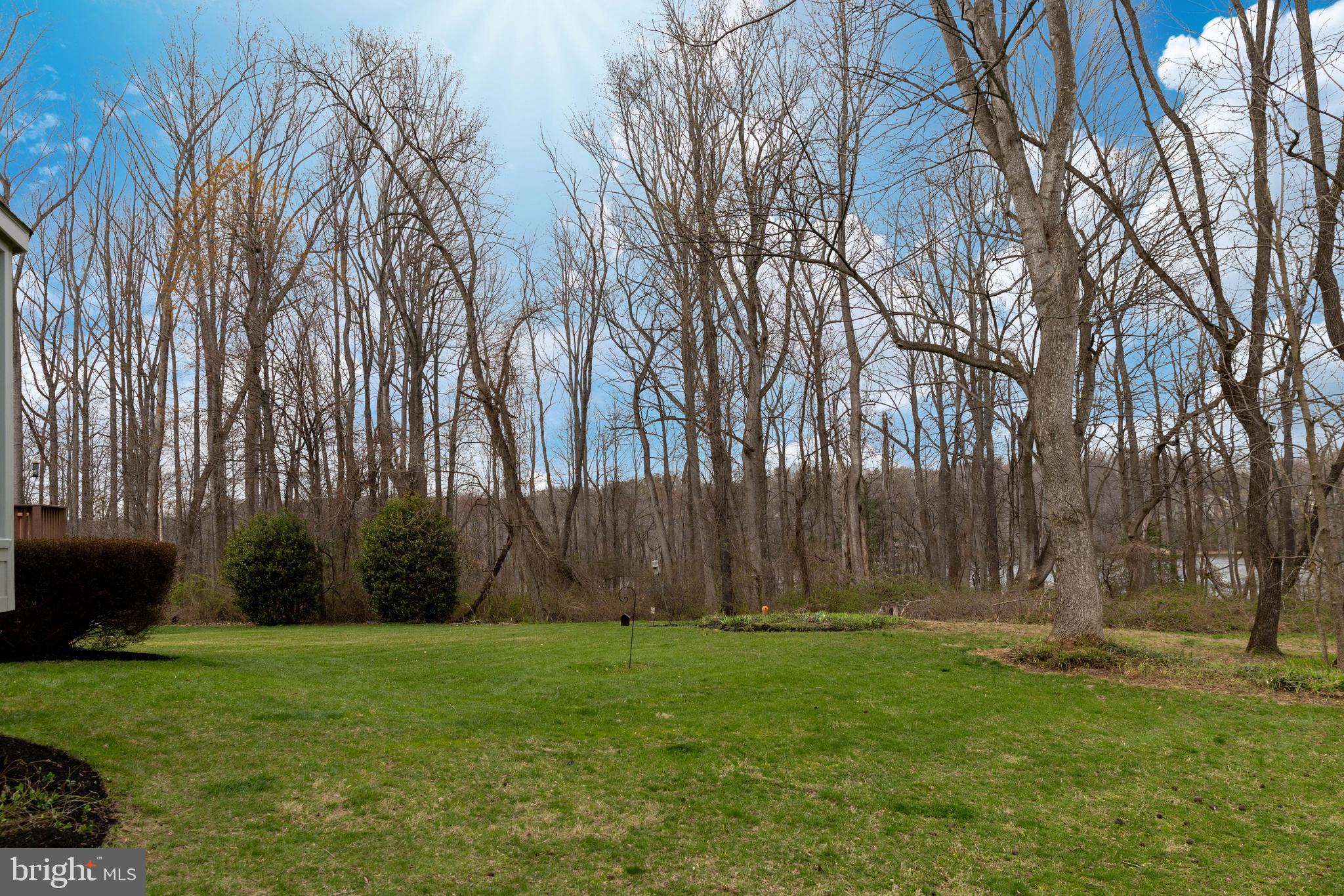 TRIPLE RIDGE - Residential