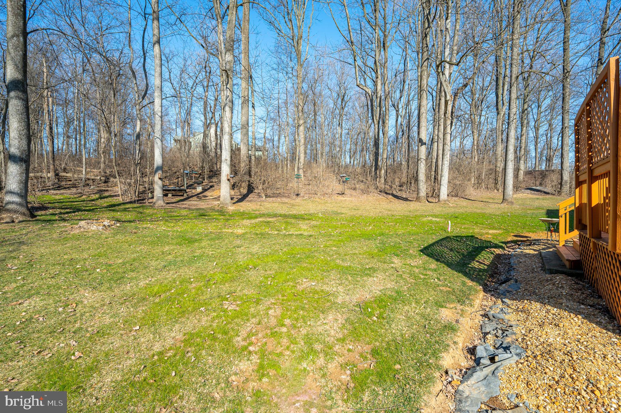 CHESTNUT RIDGE - Residential