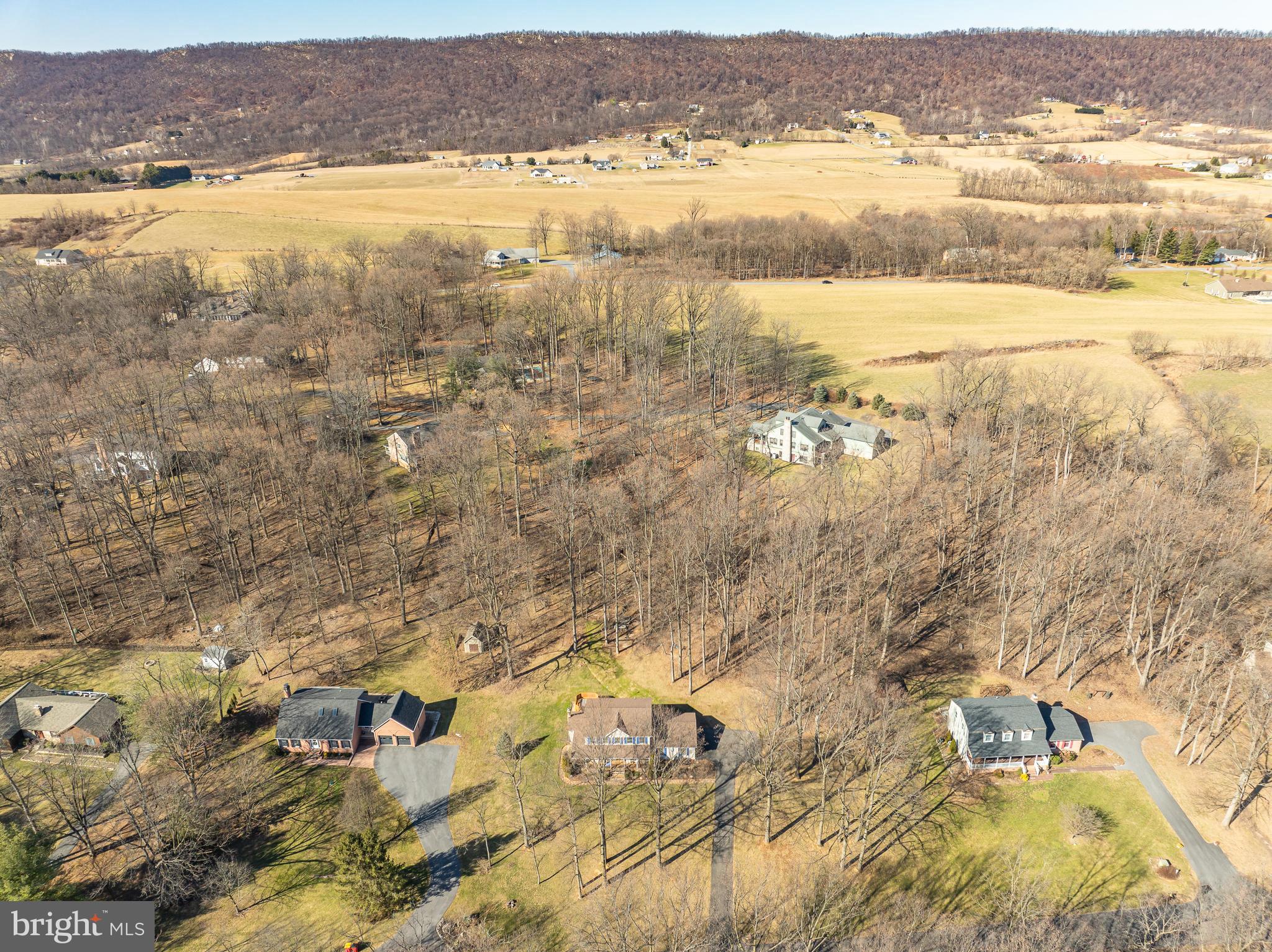 CHESTNUT RIDGE - Residential