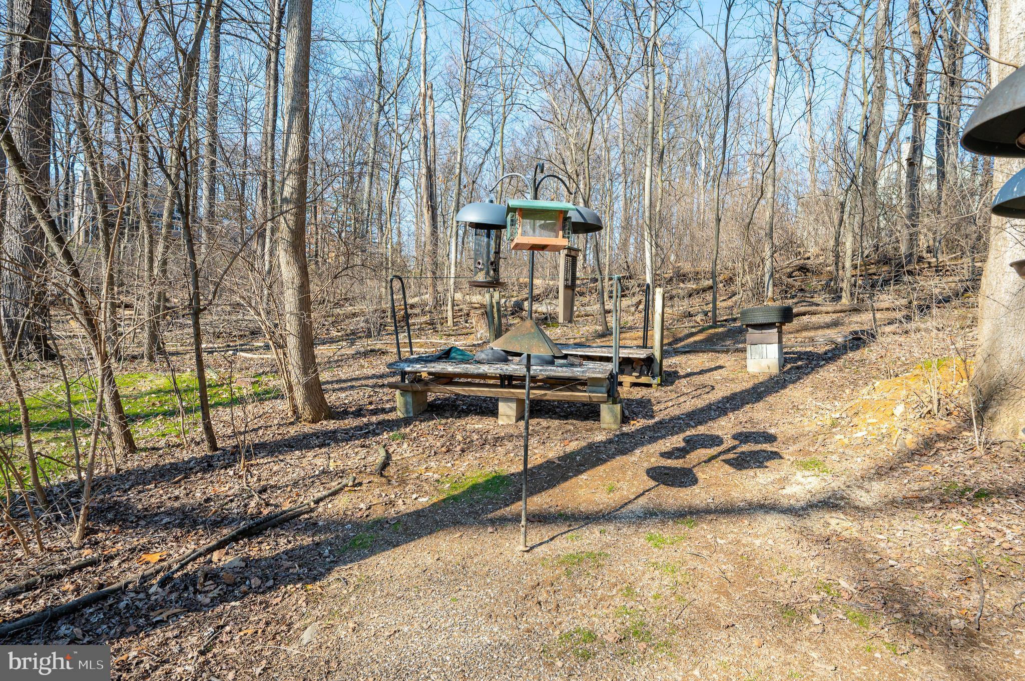 CHESTNUT RIDGE - Residential