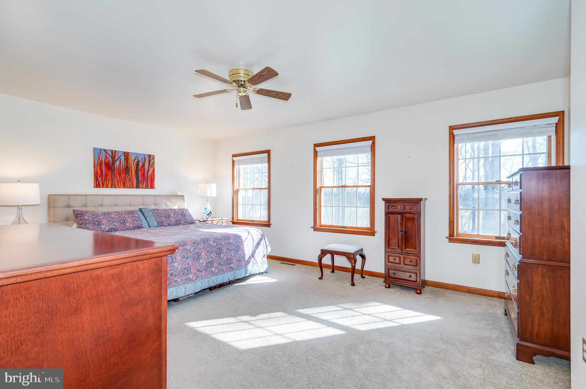 CHESTNUT RIDGE - Residential