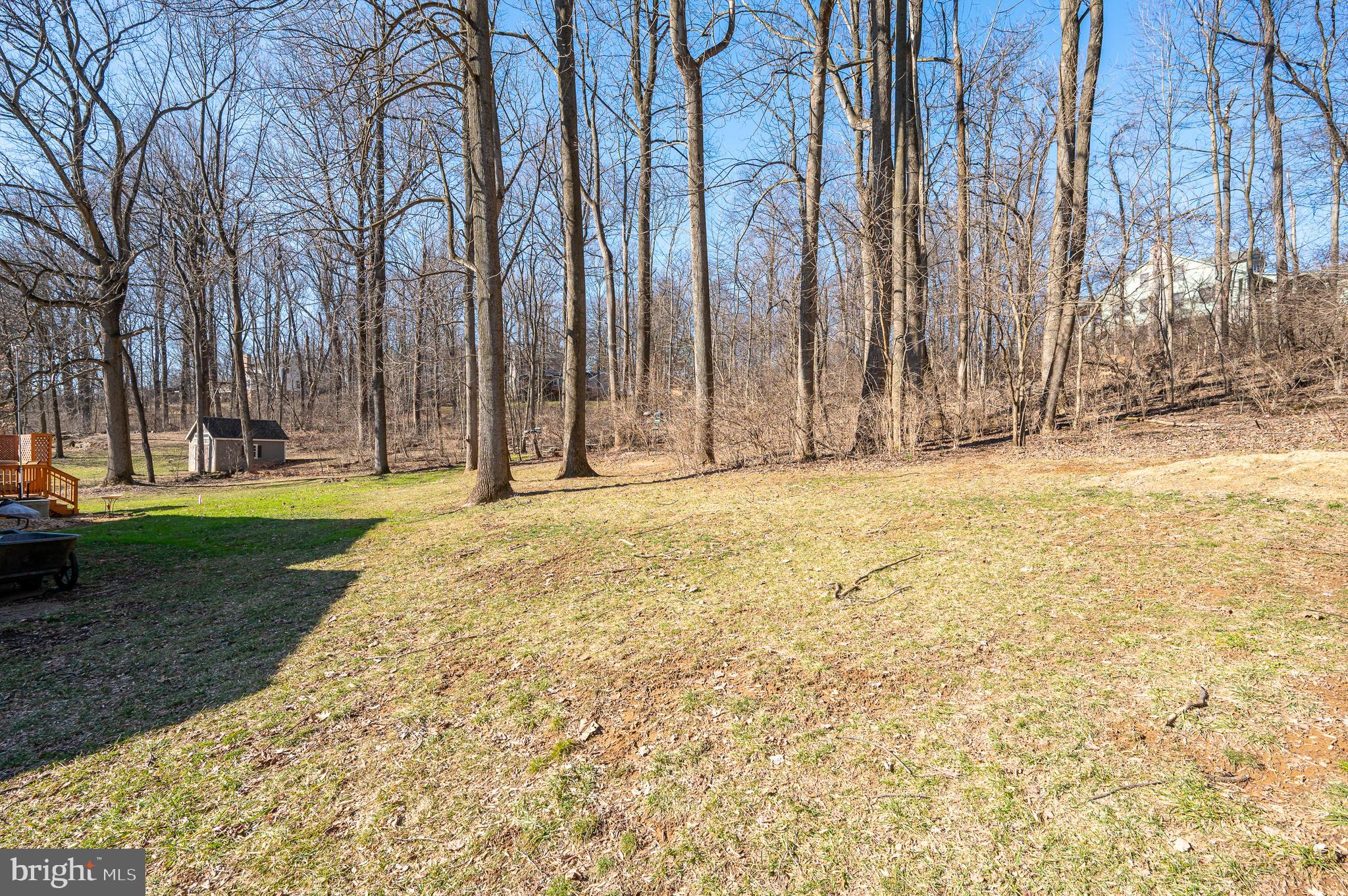 CHESTNUT RIDGE - Residential