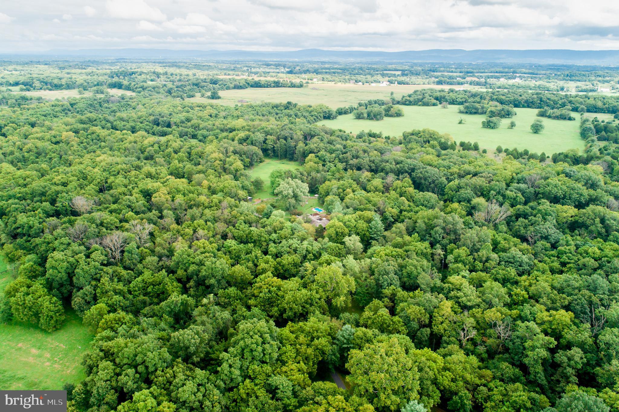 SHENANDOAH FARMS - Residential