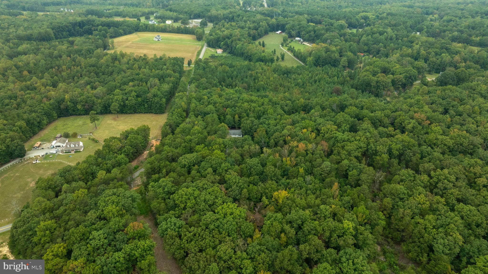 LOUISA - Residential