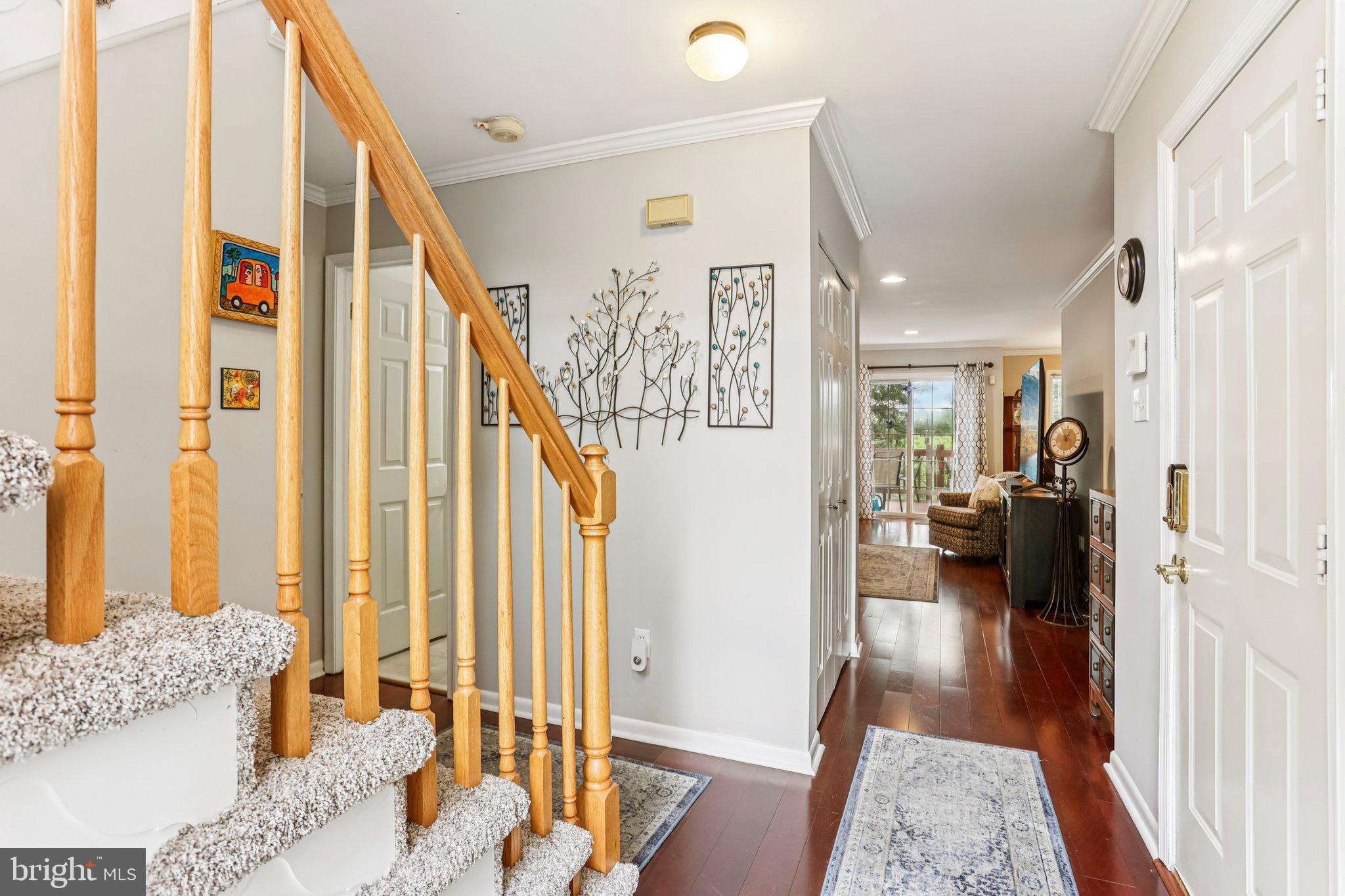 343 HAMILTON DRIVE