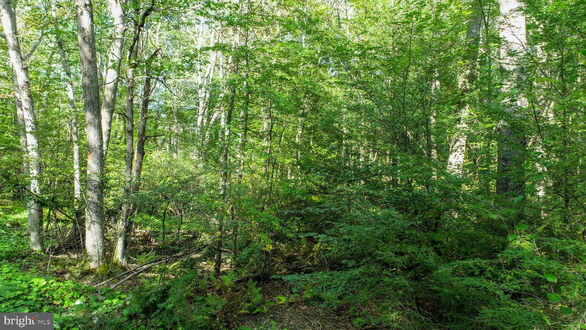 LIMPOPO NORTH - Land