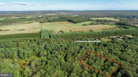 Vacant Land For Sale - Limpopo Lane<br/> MC HENRY, MD 21541