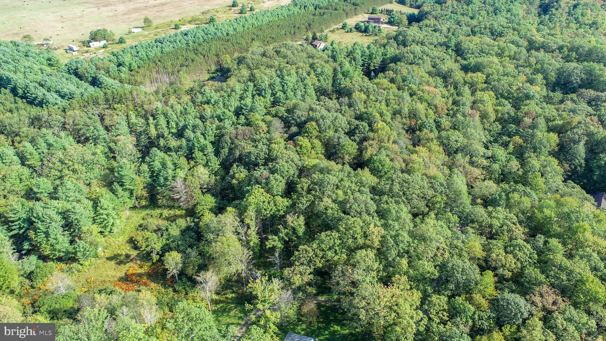 LIMPOPO NORTH - Land