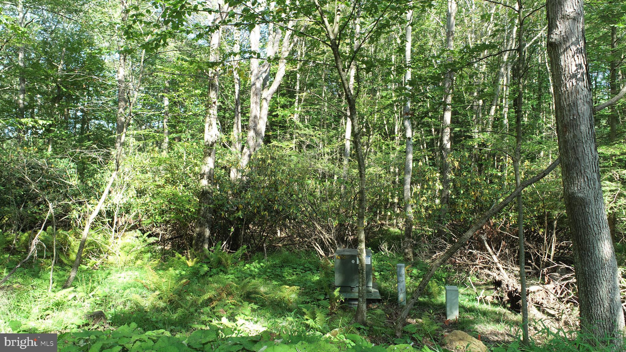 LIMPOPO NORTH - Land