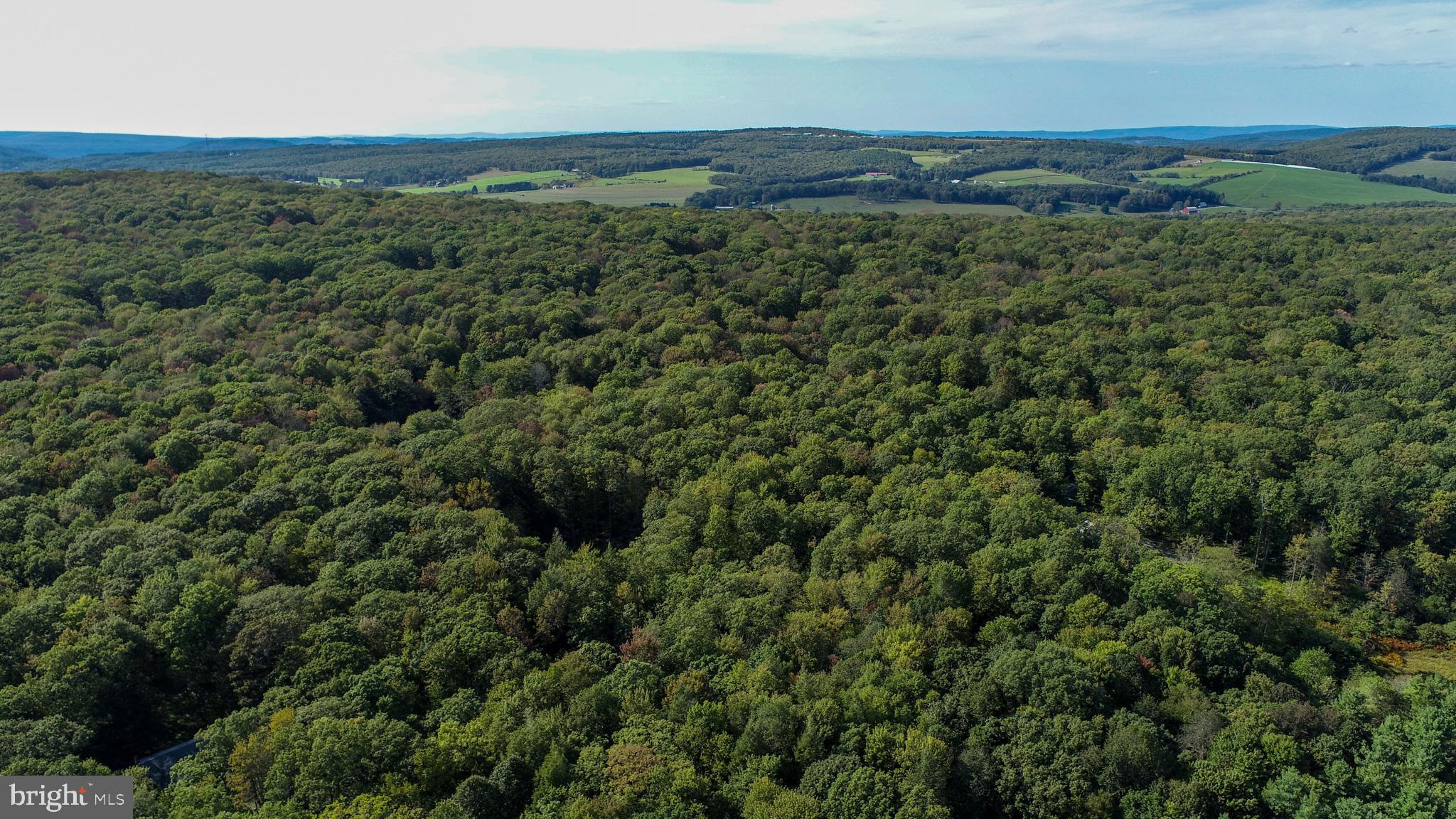 LIMPOPO NORTH - Land