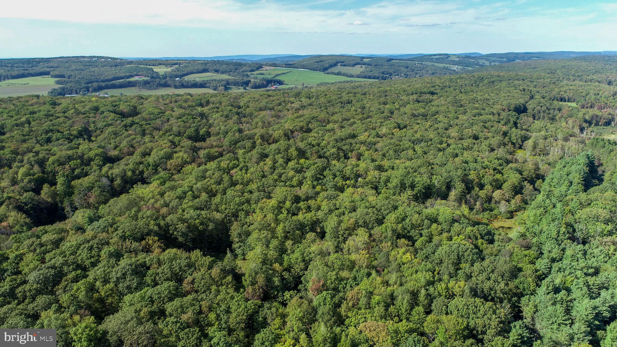 LIMPOPO NORTH - Land