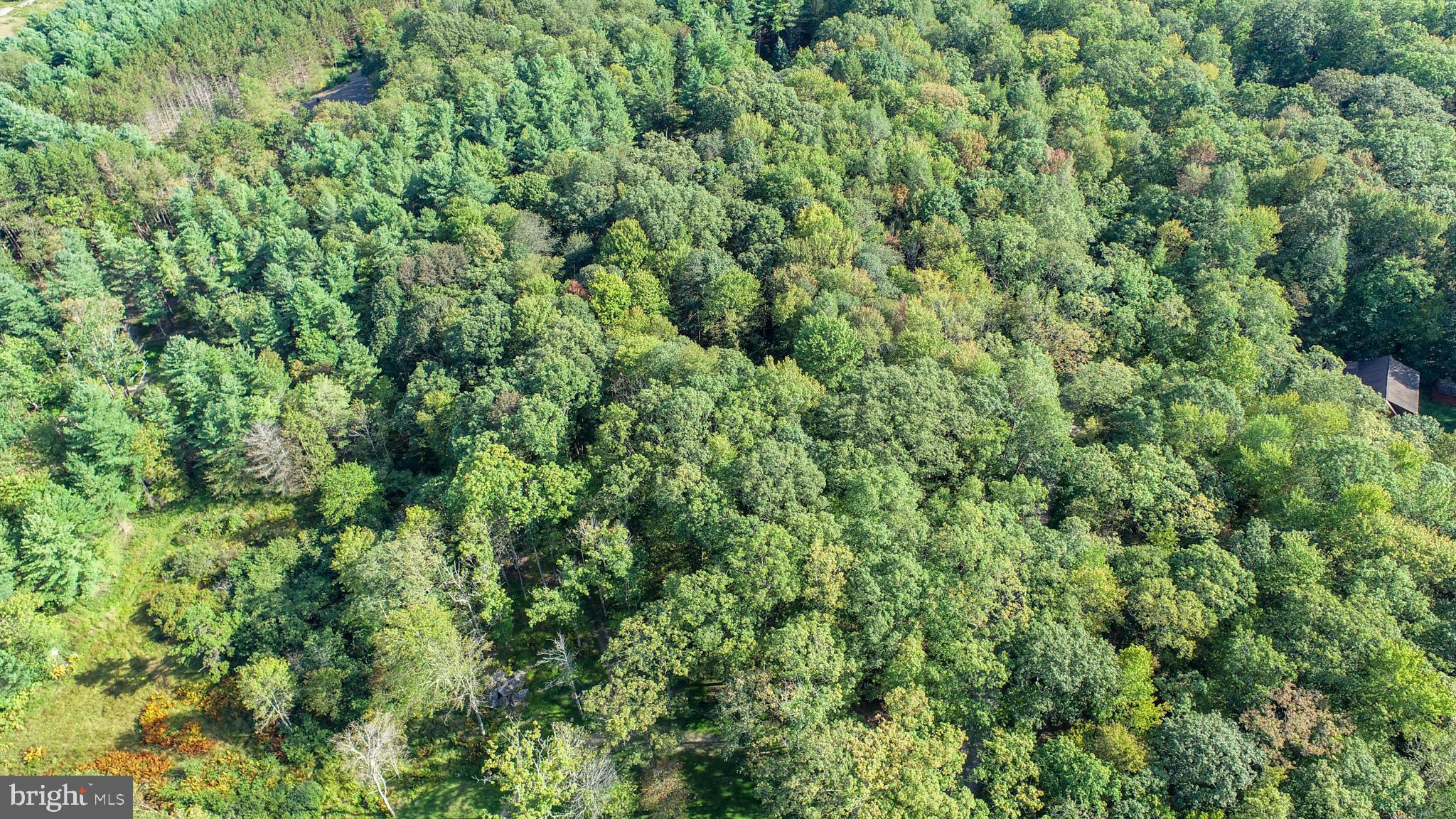 LIMPOPO NORTH - Land