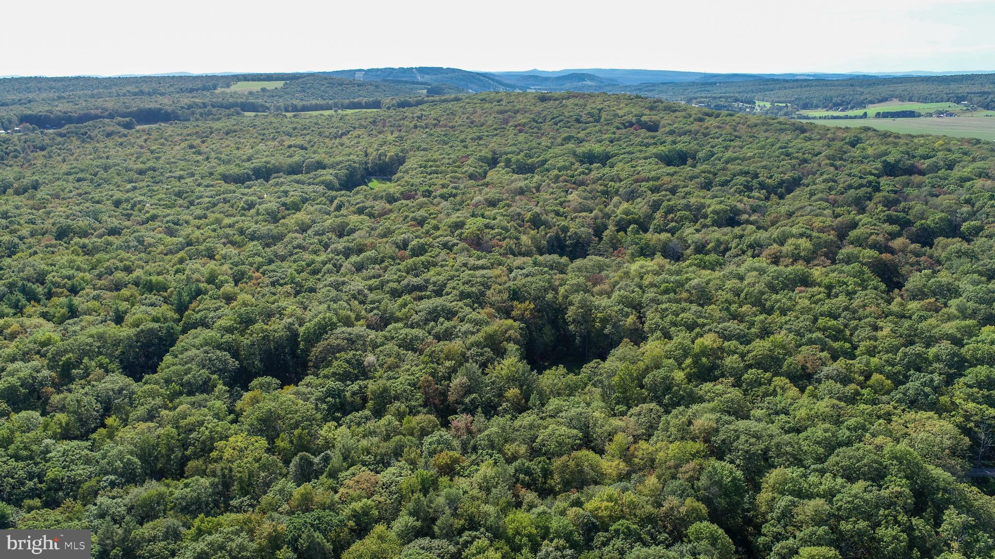 LIMPOPO NORTH - Land