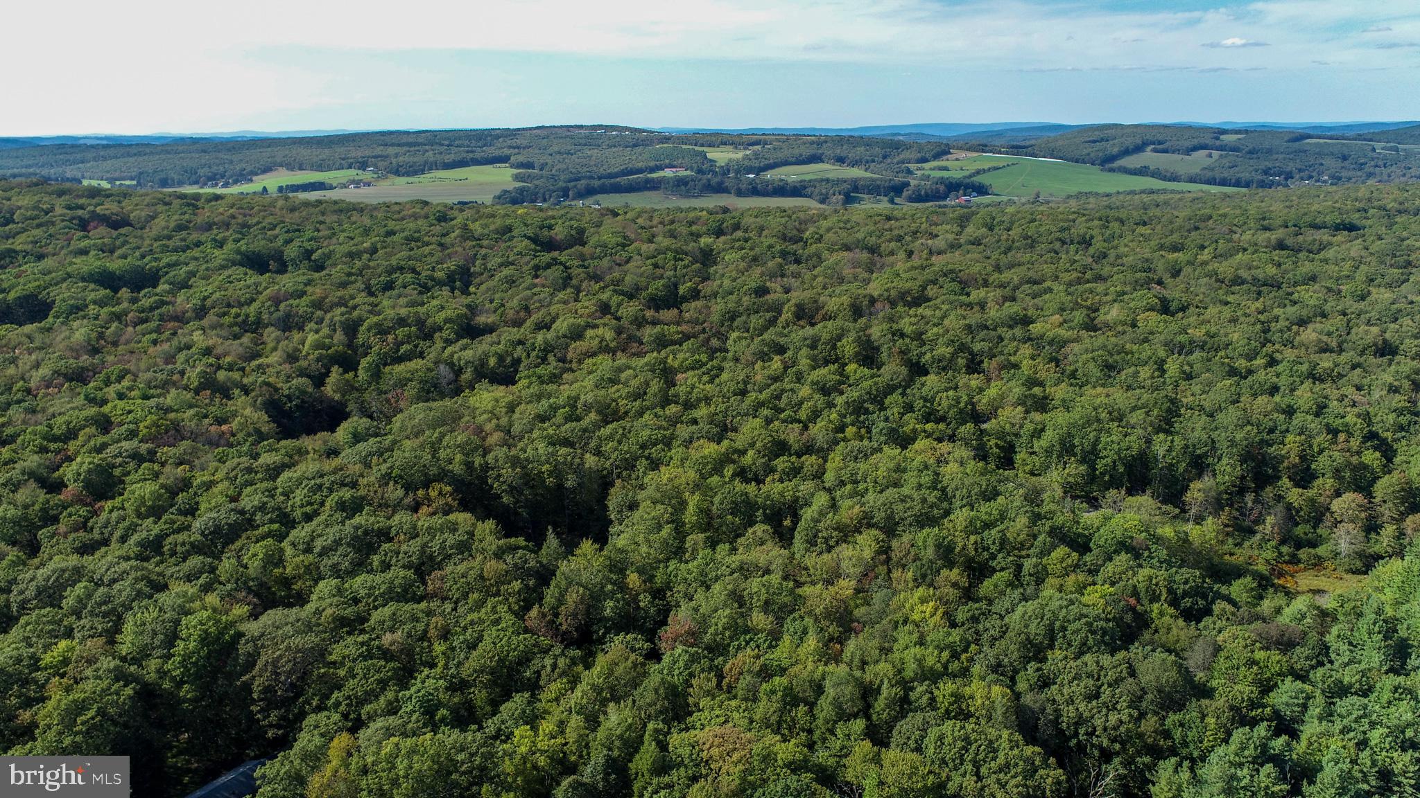 LIMPOPO NORTH - Land