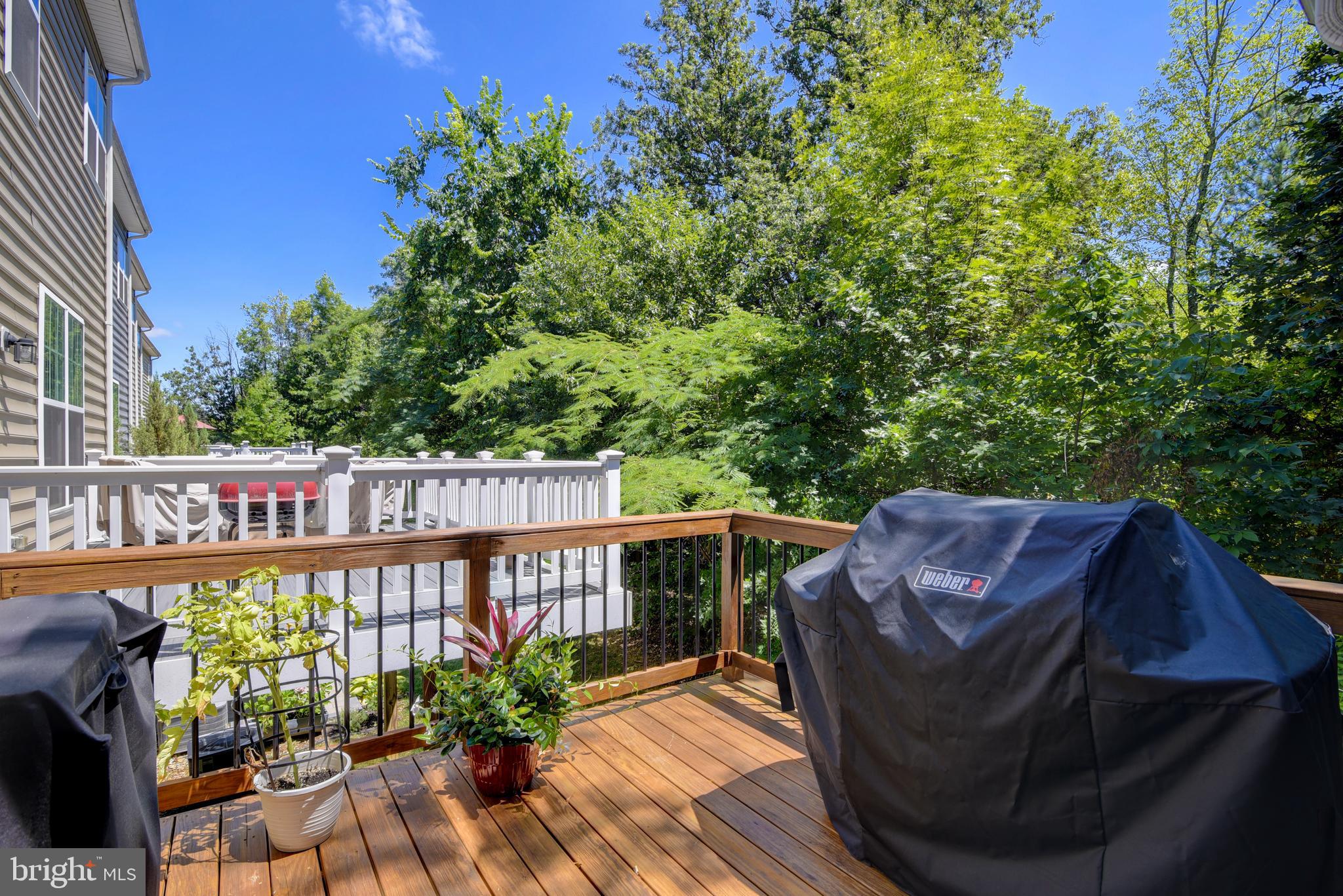 BELMONT RUN - Residential