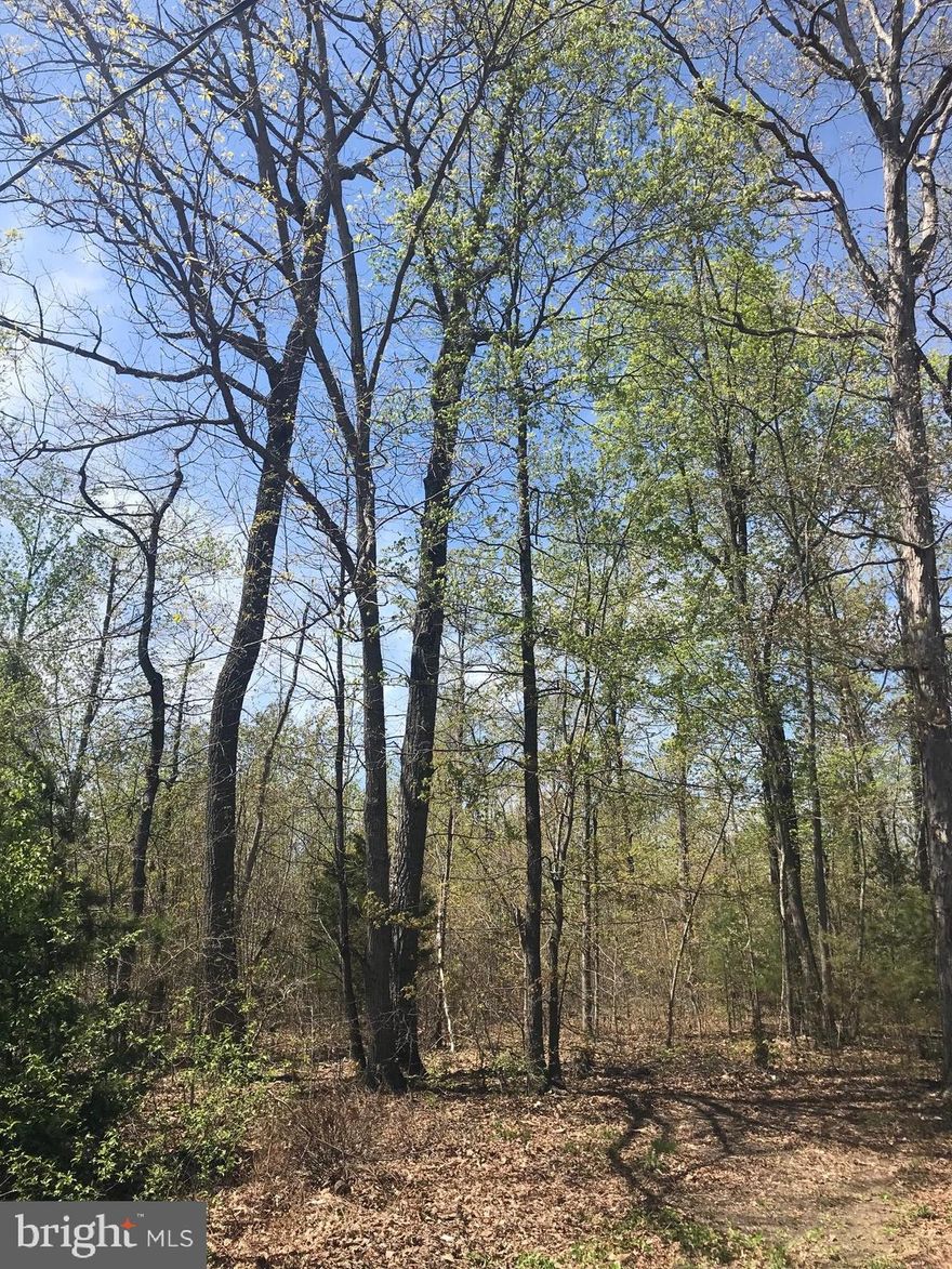 30 beautiful, wooded acres in Richardsville offer privacy, while still being close to commuter routes. Endless possibilities avait! What will you do with 30 acres?