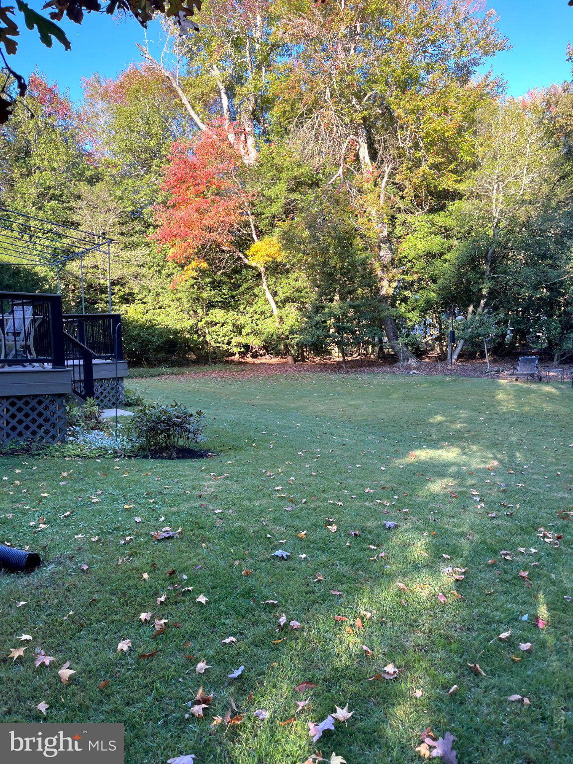 6 ROBIN HOOD DR. DRIVE