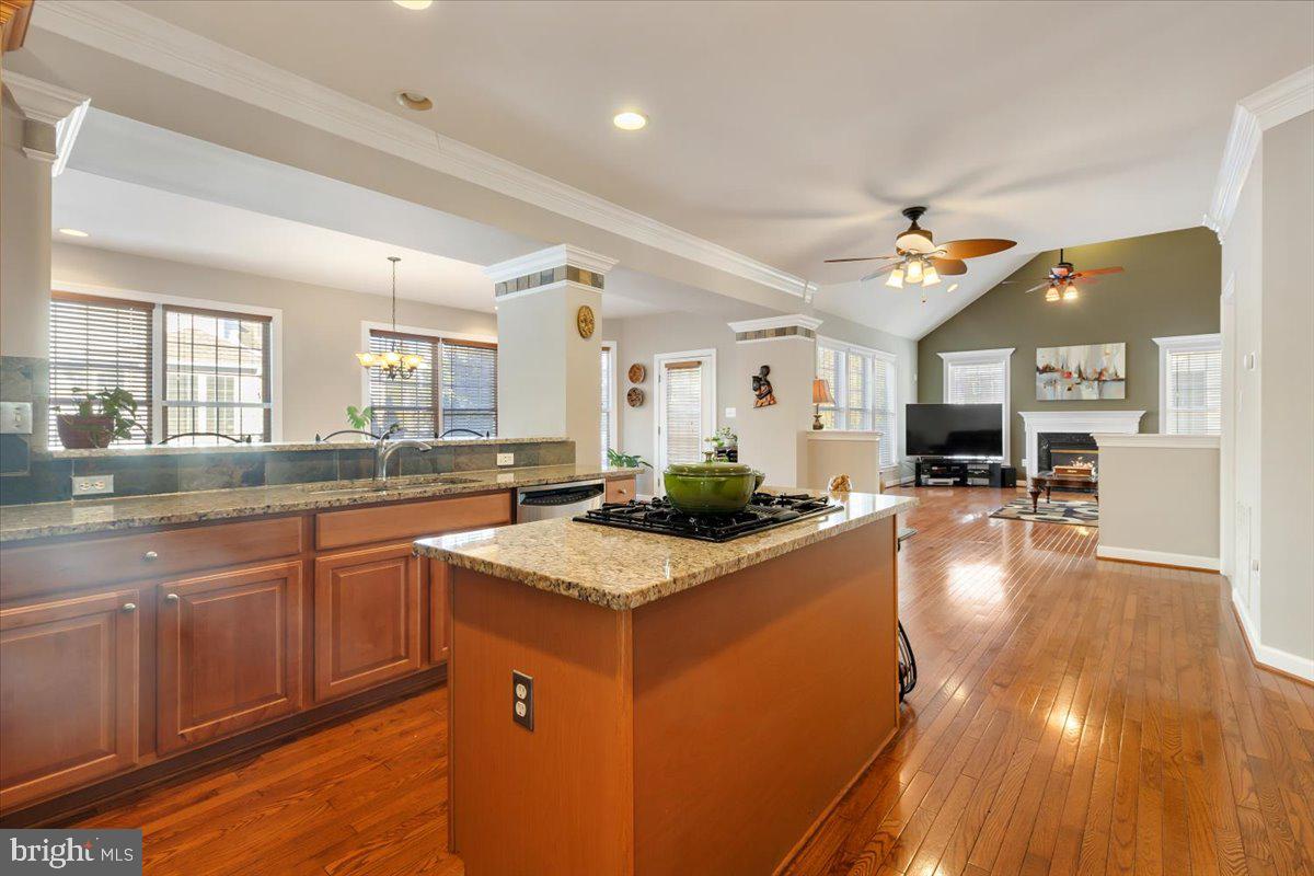 CHANTILLY GREEN ESTATES - Residential