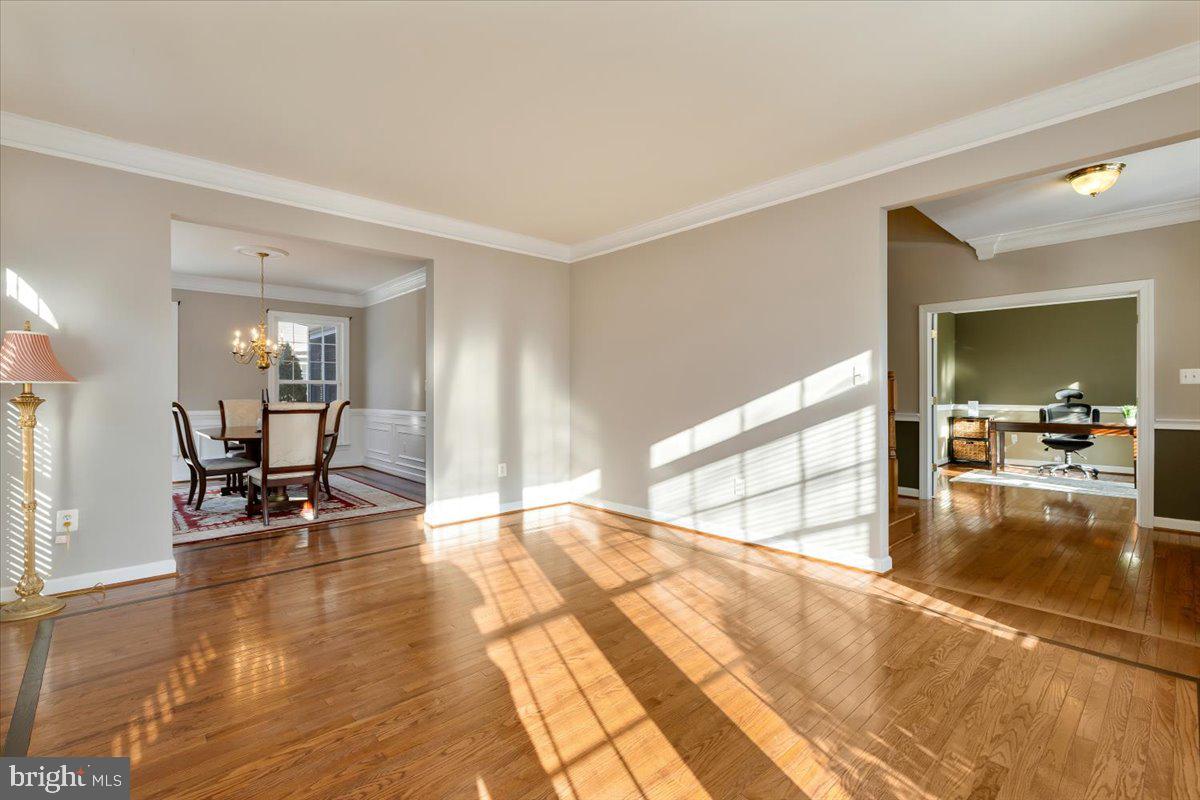 CHANTILLY GREEN ESTATES - Residential