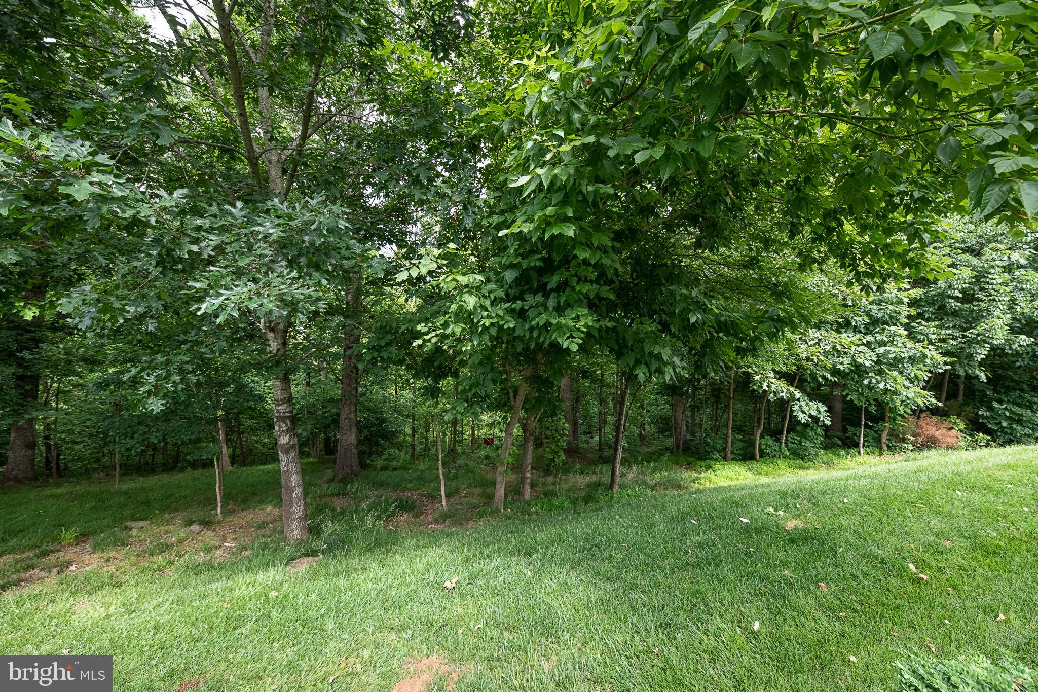 PIEDMONT SOUTH - Residential