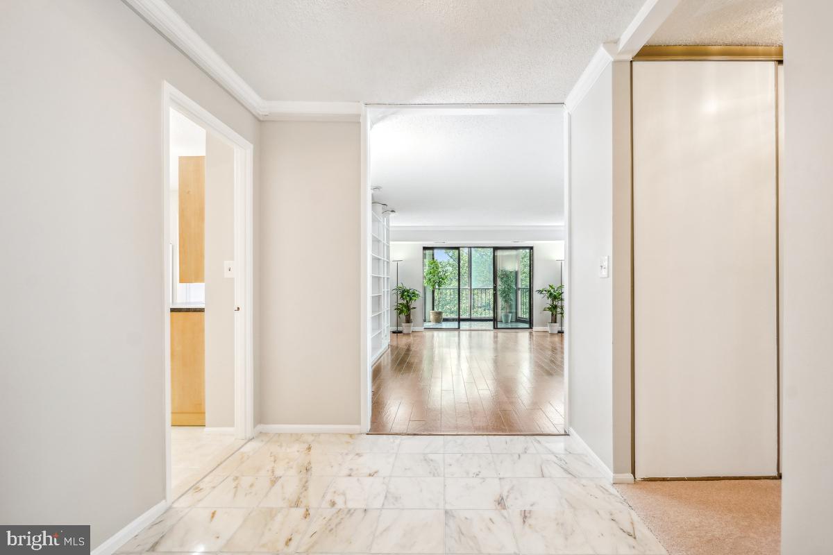 5902 MOUNT EAGLE DRIVE 718