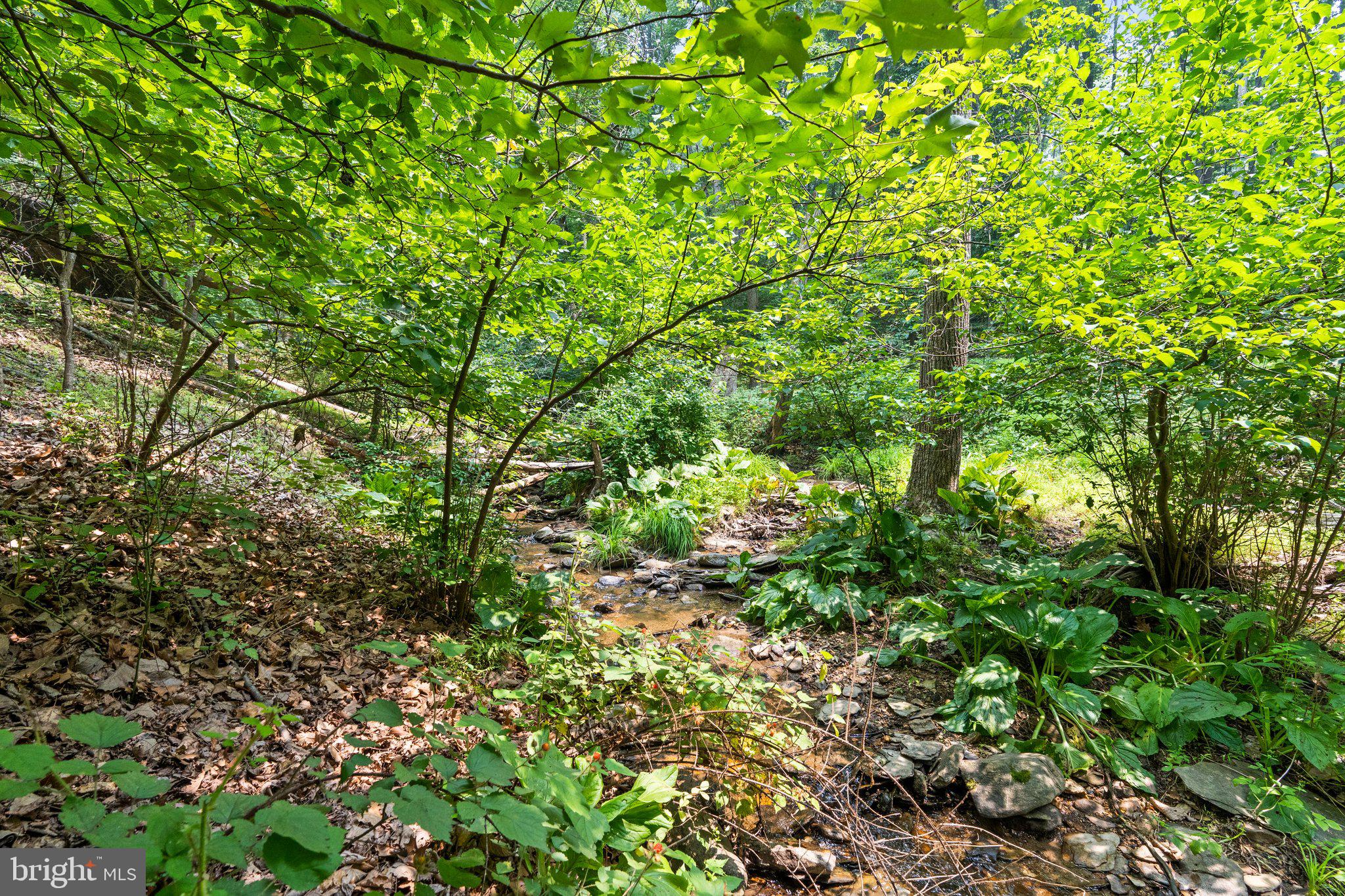 RIVER VIEW PARK - Residential