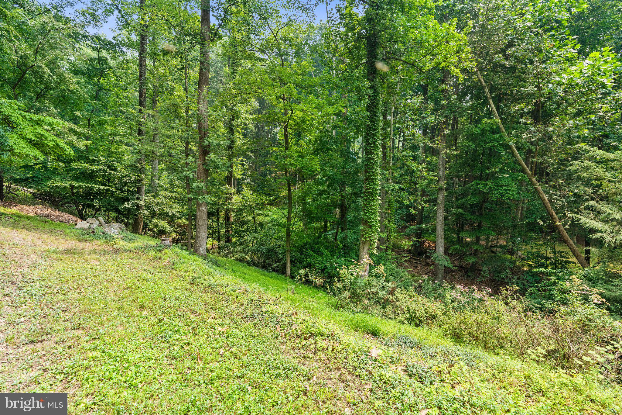 RIVER VIEW PARK - Residential