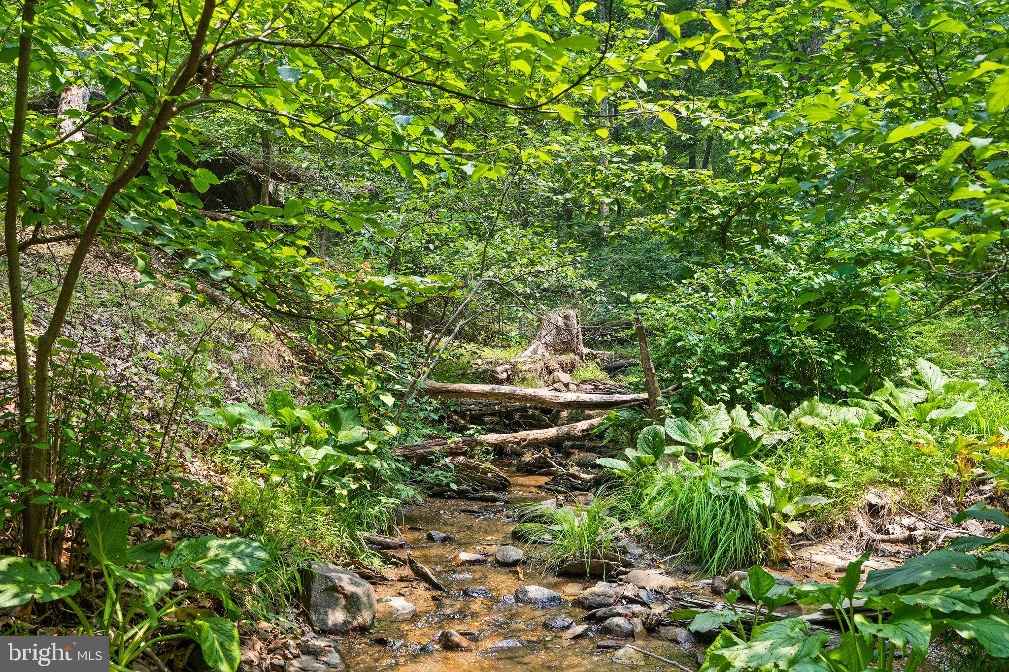 RIVER VIEW PARK - Residential