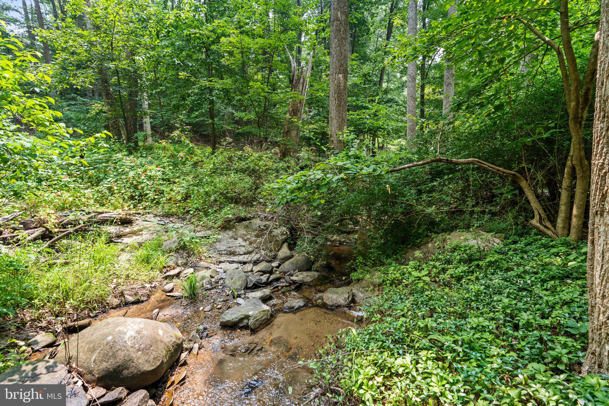 RIVER VIEW PARK - Residential