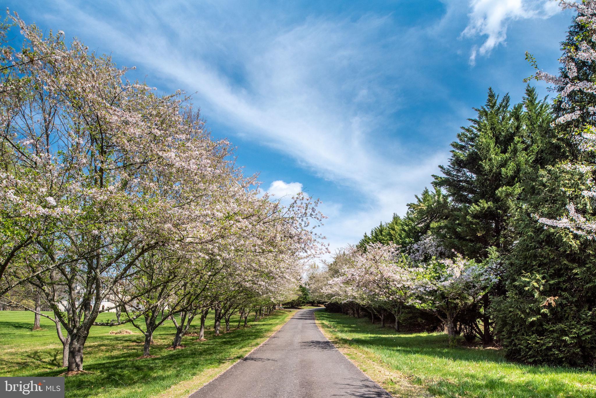 Lot 16 HAWTHORNE DRIVE