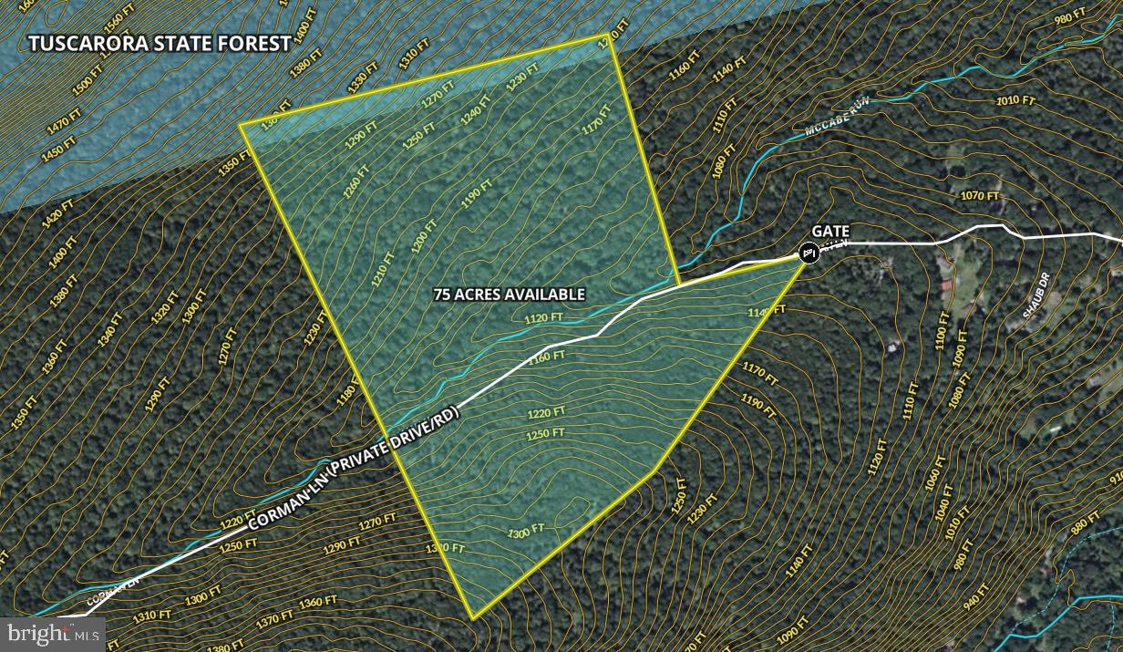 0 CORNMAN LN LOT #1