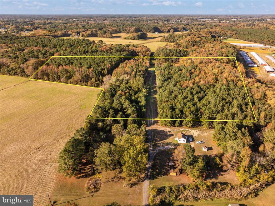 12.56 Acres in Wicomico County – Private, Wooded Setting

Discover the perfect blend of privacy and potential with this 12.56-acre wooded parcel located on a private road in Wicomico County. The private road is not an easement—it will serve solely as access to this property. The parcel located behind is accessed separately from the rear.

The property features two approved perc sites, offering the opportunity to build two homes—ideal for a family compound, investment, or future subdivision.

White Creek runs along the right side of the property line, adding a scenic natural feature and enhancing the peaceful, wooded setting.

Enjoy the natural beauty of the land with its mature trees and abundant wildlife—perfect for outdoor enthusiasts or those seeking a serene retreat.

If the private road is extended, the two parcels could eventually be deeded separately, providing additional flexibility for future use or resale.

This property offers endless possibilities—build now, invest for the future, or simply enjoy the tranquility of your own private escape.