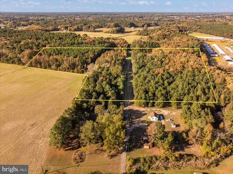 27336 WALNUT TREE ROAD SALISBURY MD 21801