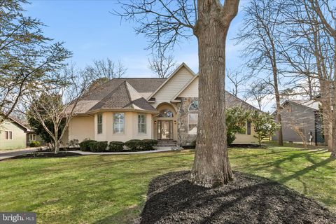 Tiny photo for 34484 Quail Lane, DAGSBORO, DE 19939 (MLS # DESU2106966)