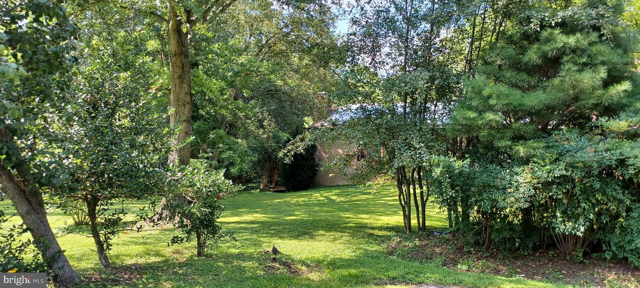 COLESVILLE PARK - Residential Lease