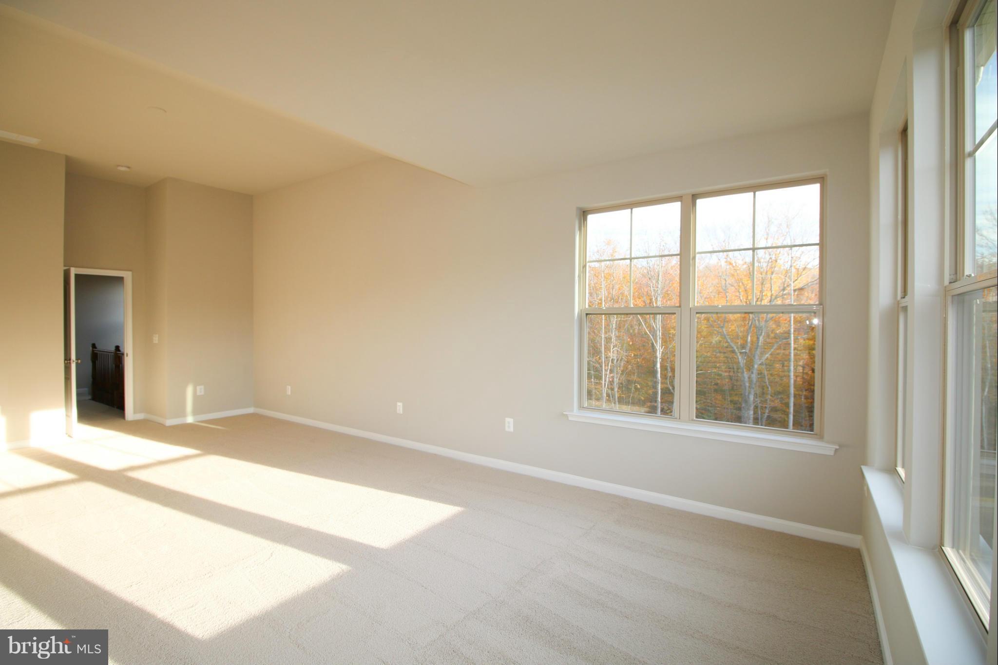 COLONIAL FORGE AT AUGUSTINE - Residential