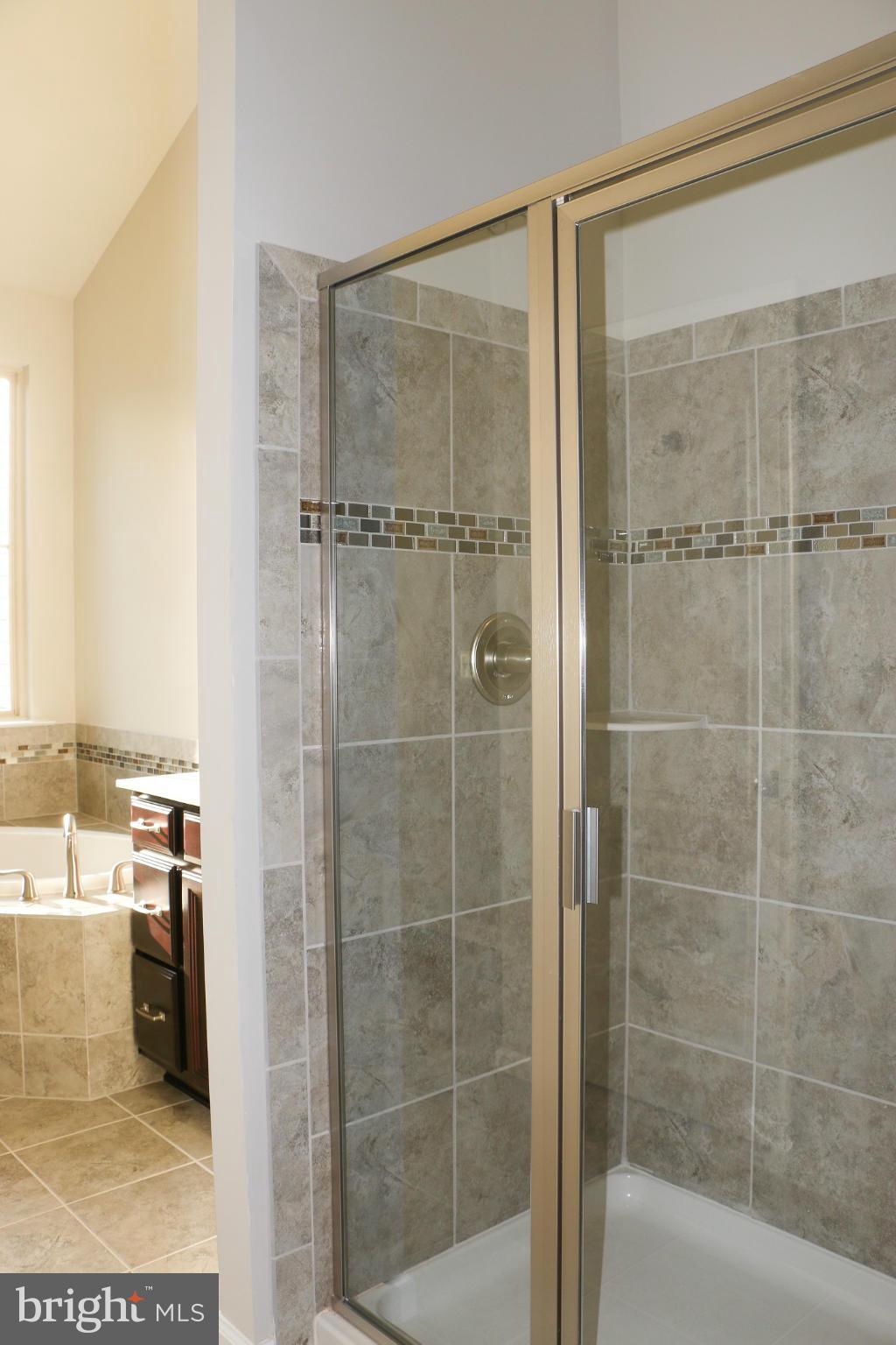 COLONIAL FORGE AT AUGUSTINE - Residential