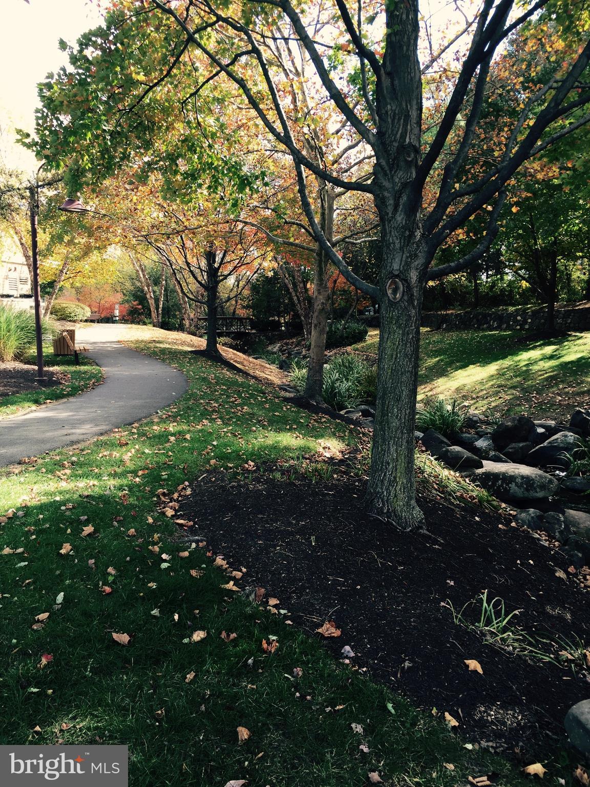 PINEY ORCHARD - Residential Lease