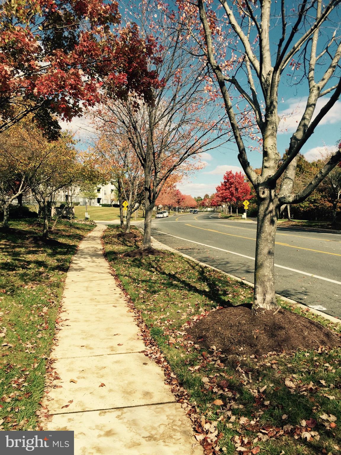 PINEY ORCHARD - Residential Lease