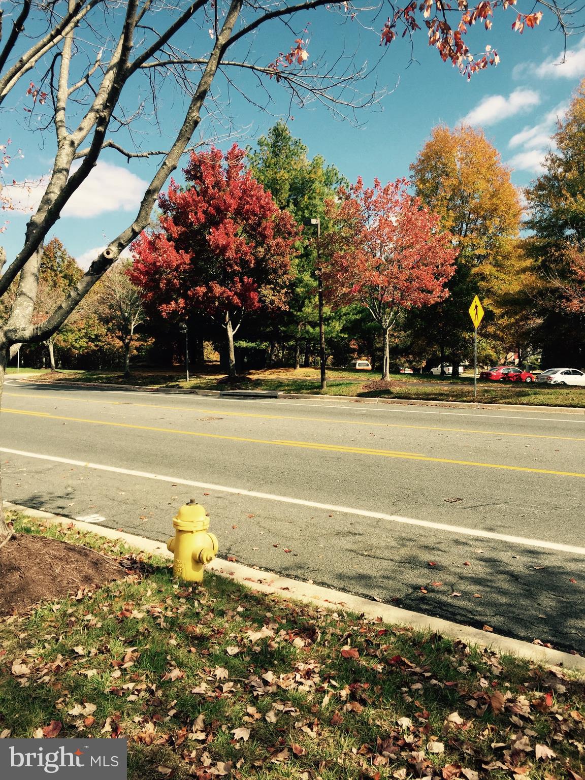 PINEY ORCHARD - Residential Lease