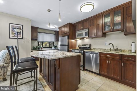 1200 S ARLINGTON RIDGE ROAD 409 ARLINGTON VA 22202