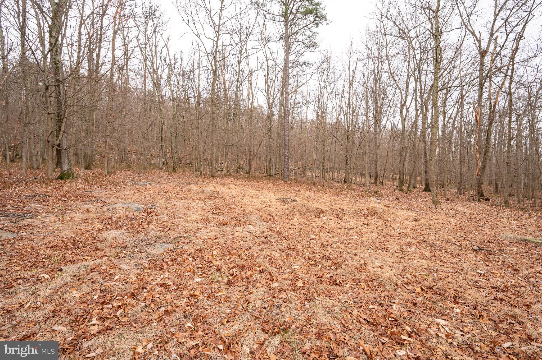 SHANNONDALE - Residential