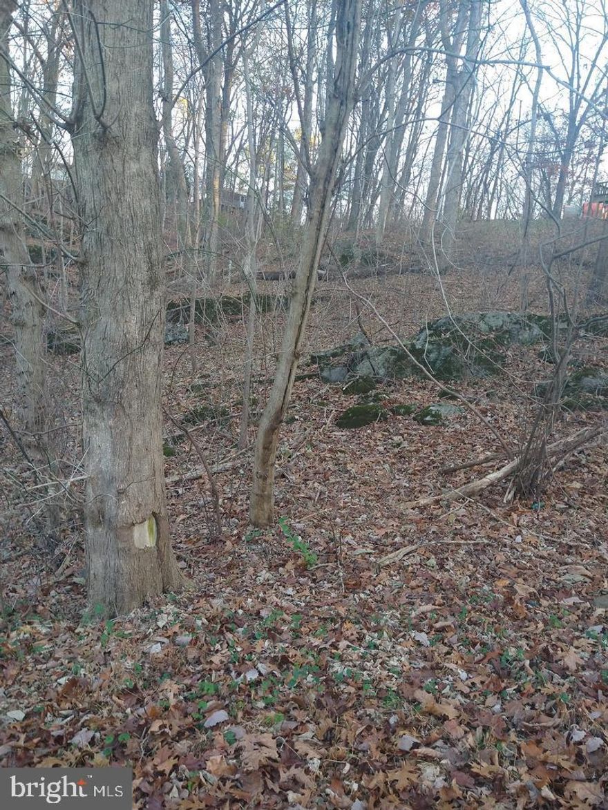 Build your Full time home, Weekend getaway, Vacation Home or AirBnb. Located in the peaceful community of Shenandoah Shores, this .32-acre lot offers seasonal mountain views and walking distance/ easy access to the Shenandoah River. Enjoy proximity to the river for canoeing and rafting. Electric is available, and there's a community well. Explore the possibilities of this serene retreat in a charming community. No previous knowledge of Soil work.