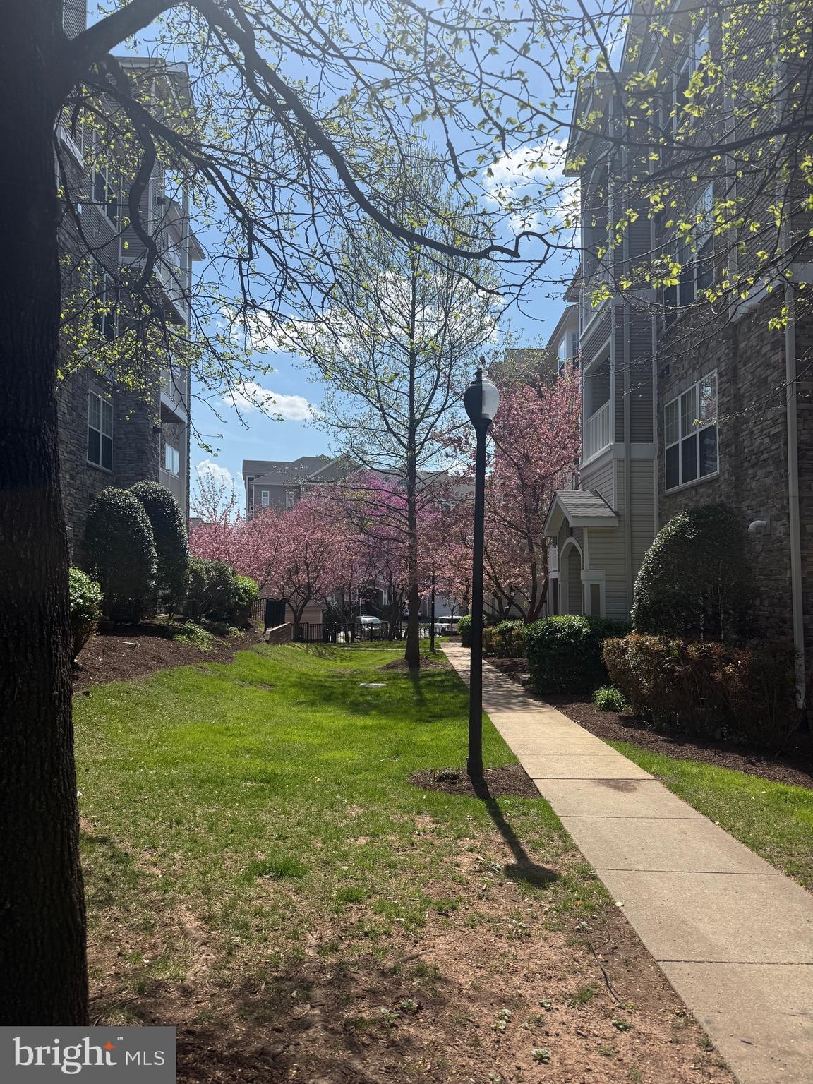 STRATFORD CLUB - Residential