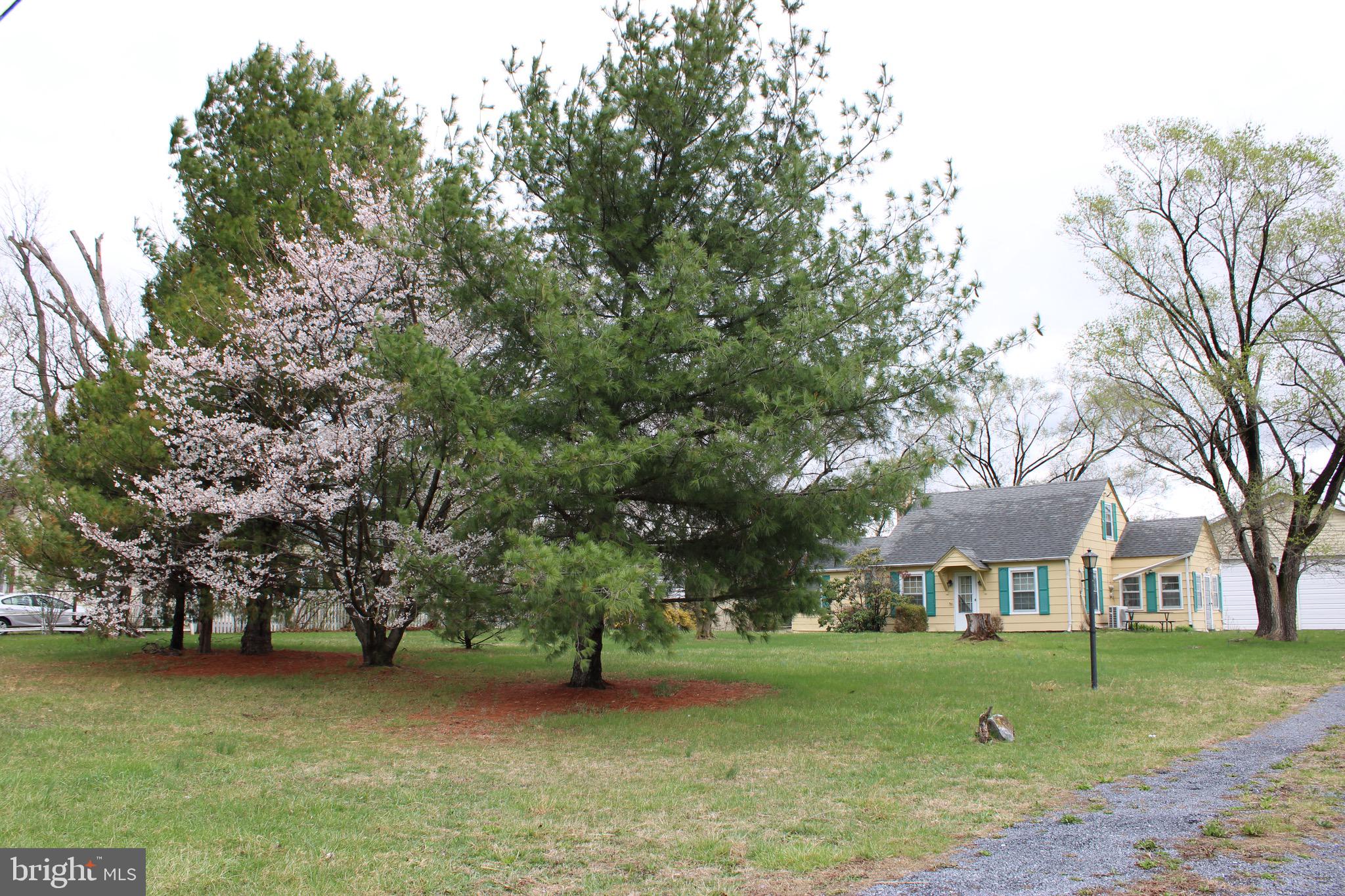 10123 WINCHESTER AVENUE